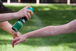 Image of spraying bug spray onto arm